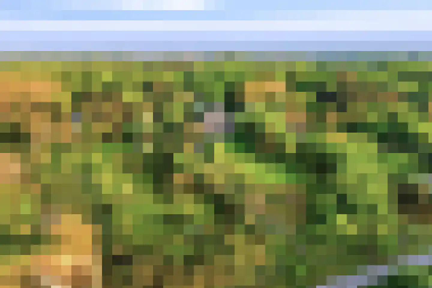 Van Bergenlaan 1 A Wassenaar thumbnail 4