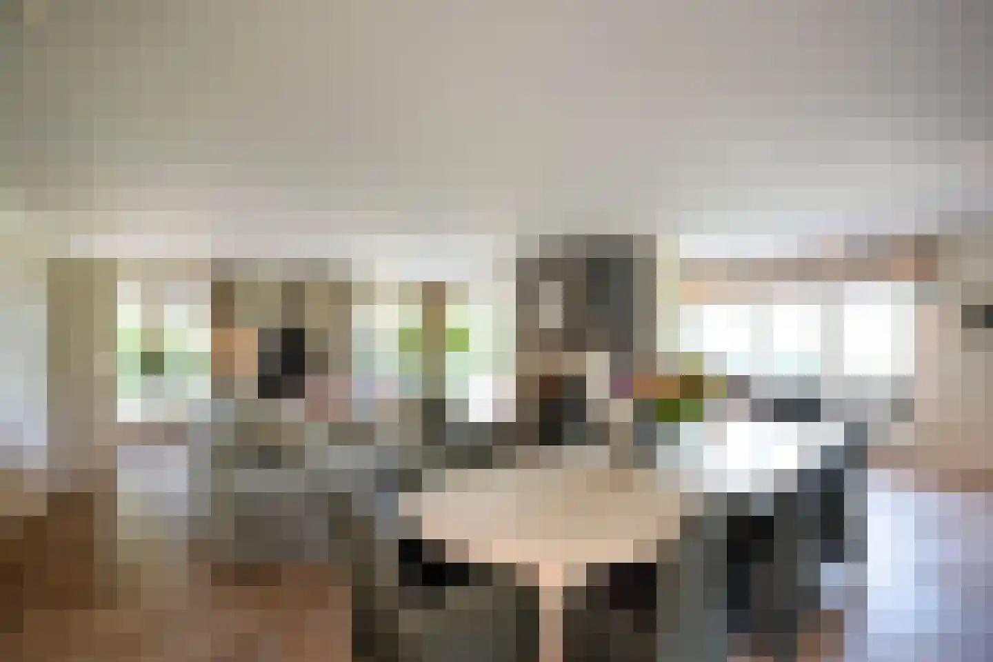Van Bergenlaan 1 A Wassenaar thumbnail 7