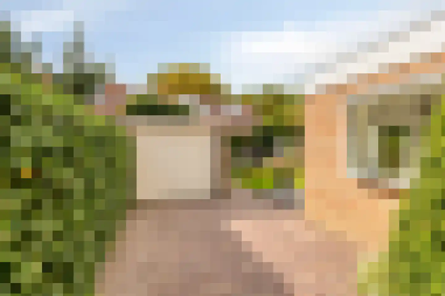 Van Bergenlaan 12 Castricum thumbnail 36