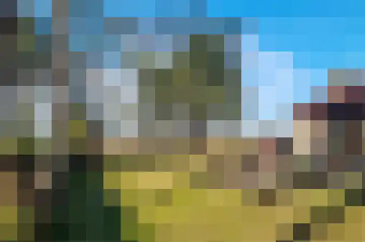 Van Bergenlaan 3 A Wassenaar thumbnail 4