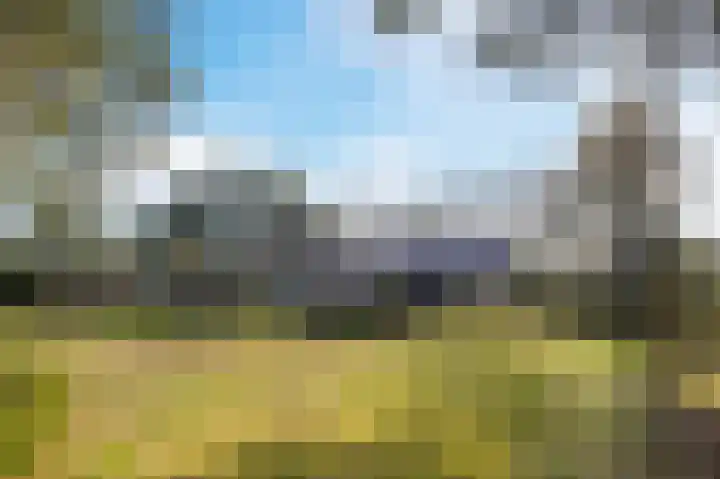 Van Bergenlaan 3 A Wassenaar thumbnail 5
