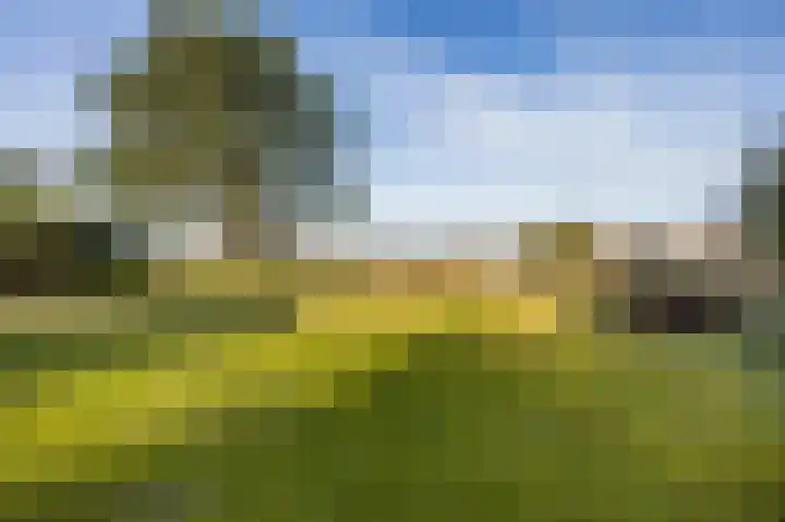 Van Bergenlaan 3 A Wassenaar thumbnail 6