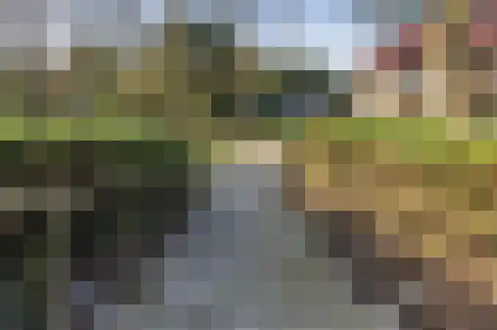 Van Bergenlaan 3 A Wassenaar thumbnail 65