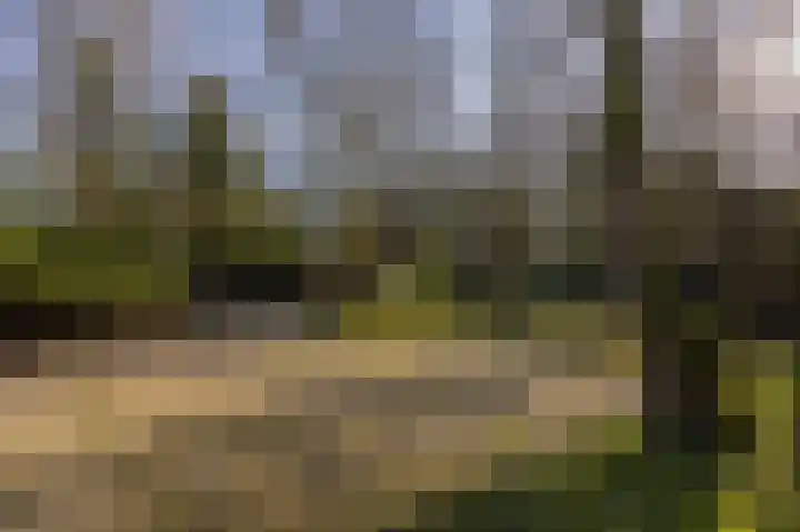 Van Bergenlaan 3 A Wassenaar thumbnail 7