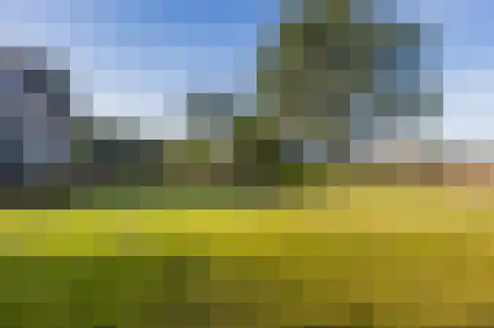 Van Bergenlaan 3 A Wassenaar thumbnail 74