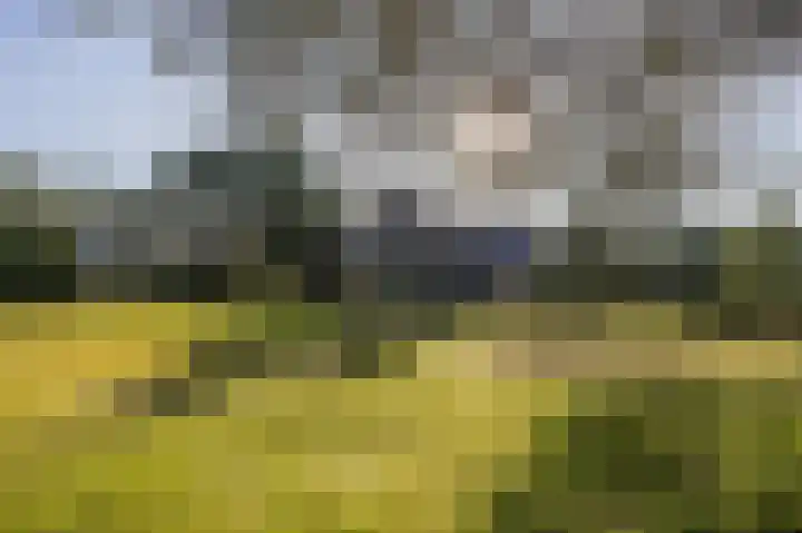 Van Bergenlaan 3 A Wassenaar thumbnail 75