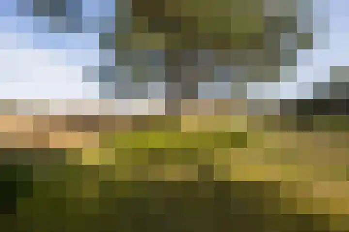 Van Bergenlaan 3 A Wassenaar thumbnail 77