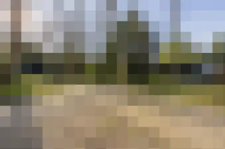 Van Bergenlaan 3 A Wassenaar thumbnail 81