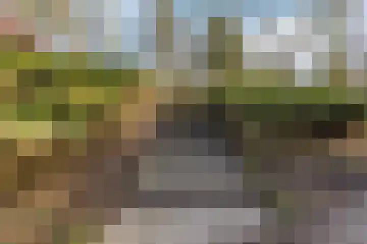 Van Bergenlaan 3 A Wassenaar thumbnail 82