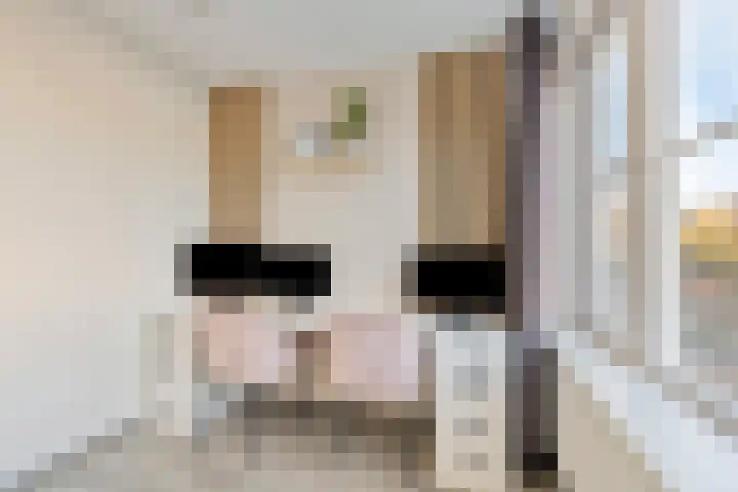 Van Bergenplein 11 Etten-Leur thumbnail 27