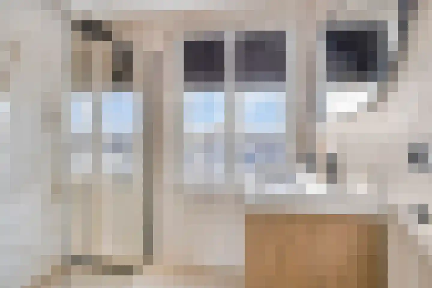 Van Bergenplein 11 Etten-Leur thumbnail 29