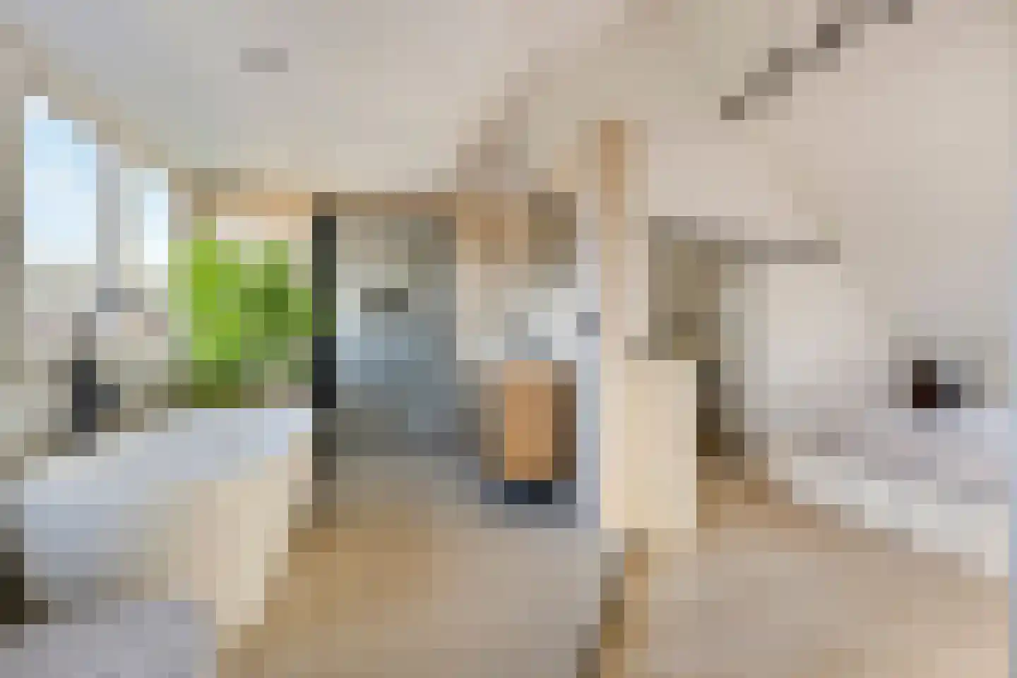 Van Bergenplein 11 Etten-Leur thumbnail 38
