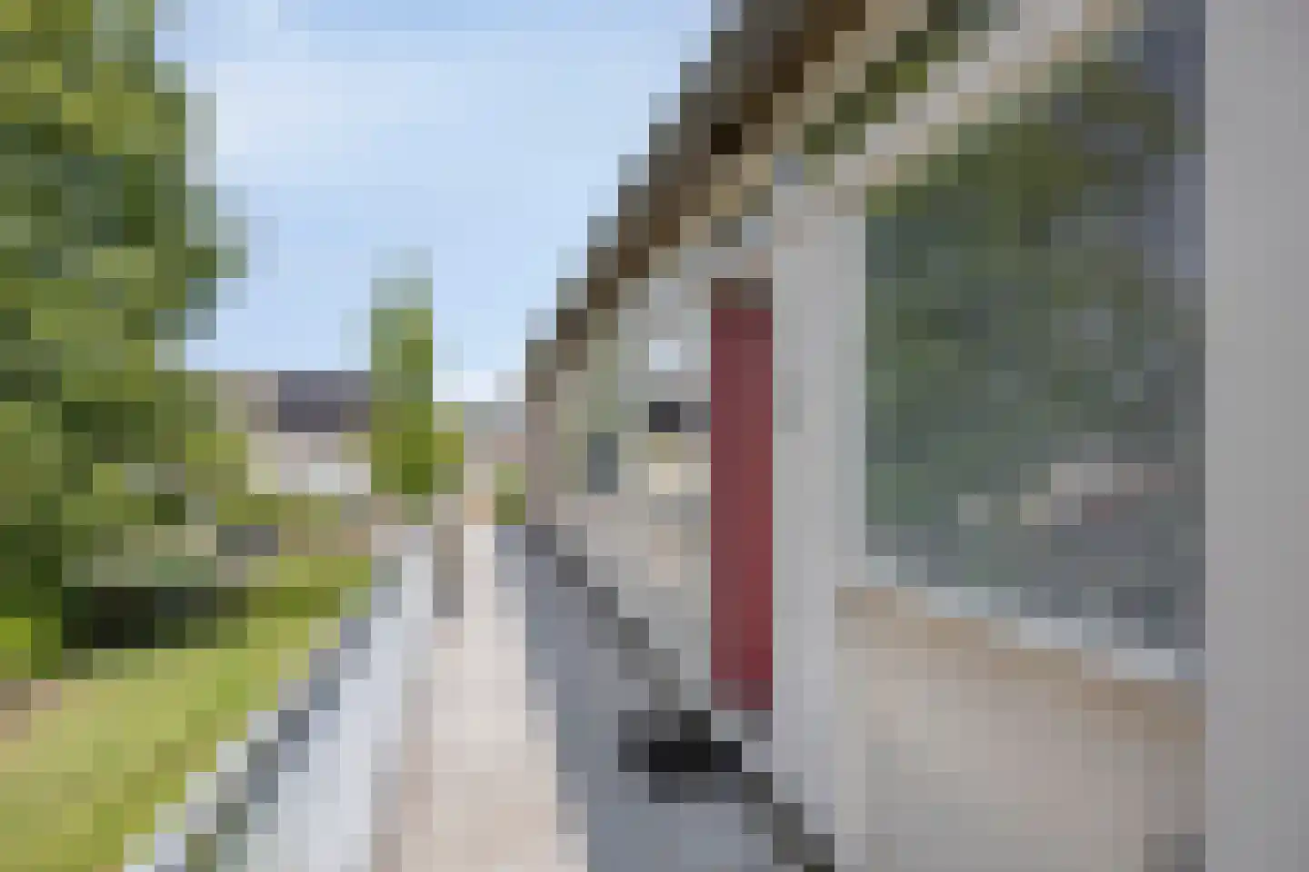 van Bergenstraat 29 Roden thumbnail 19