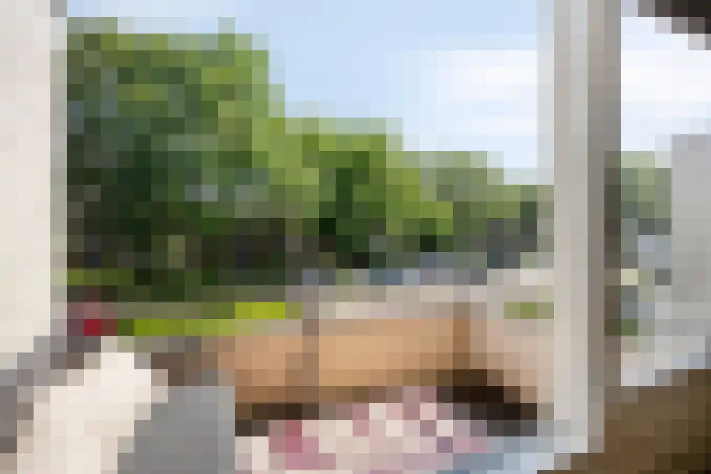 van Bergenstraat 29 Roden thumbnail 8