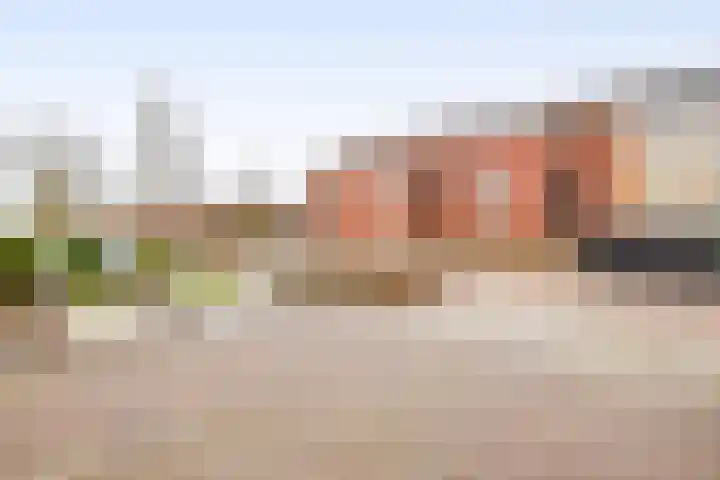 Van Berghenstraat 19 Schijndel thumbnail 38
