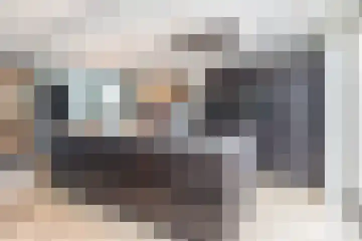 Van Berghenstraat 19 Schijndel thumbnail 4