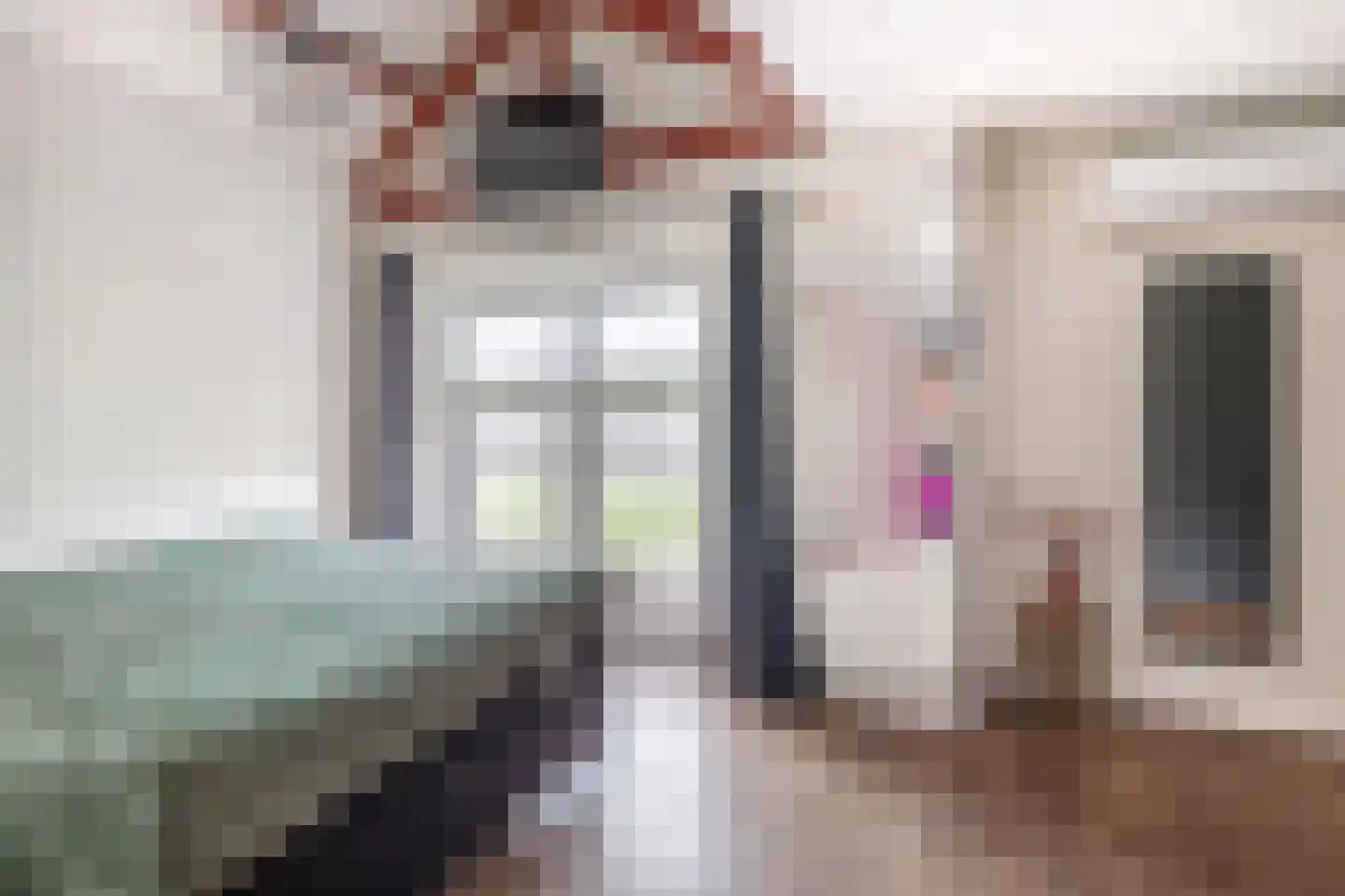 Van Berghenstraat 25 Schijndel thumbnail 14