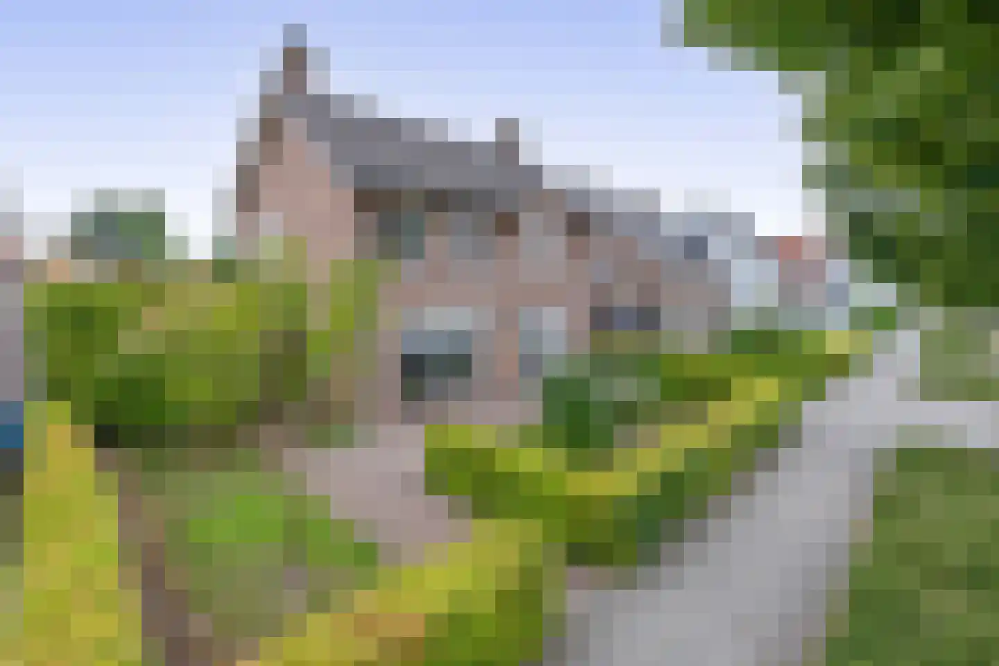 Van Berghenstraat 25 Schijndel thumbnail 33