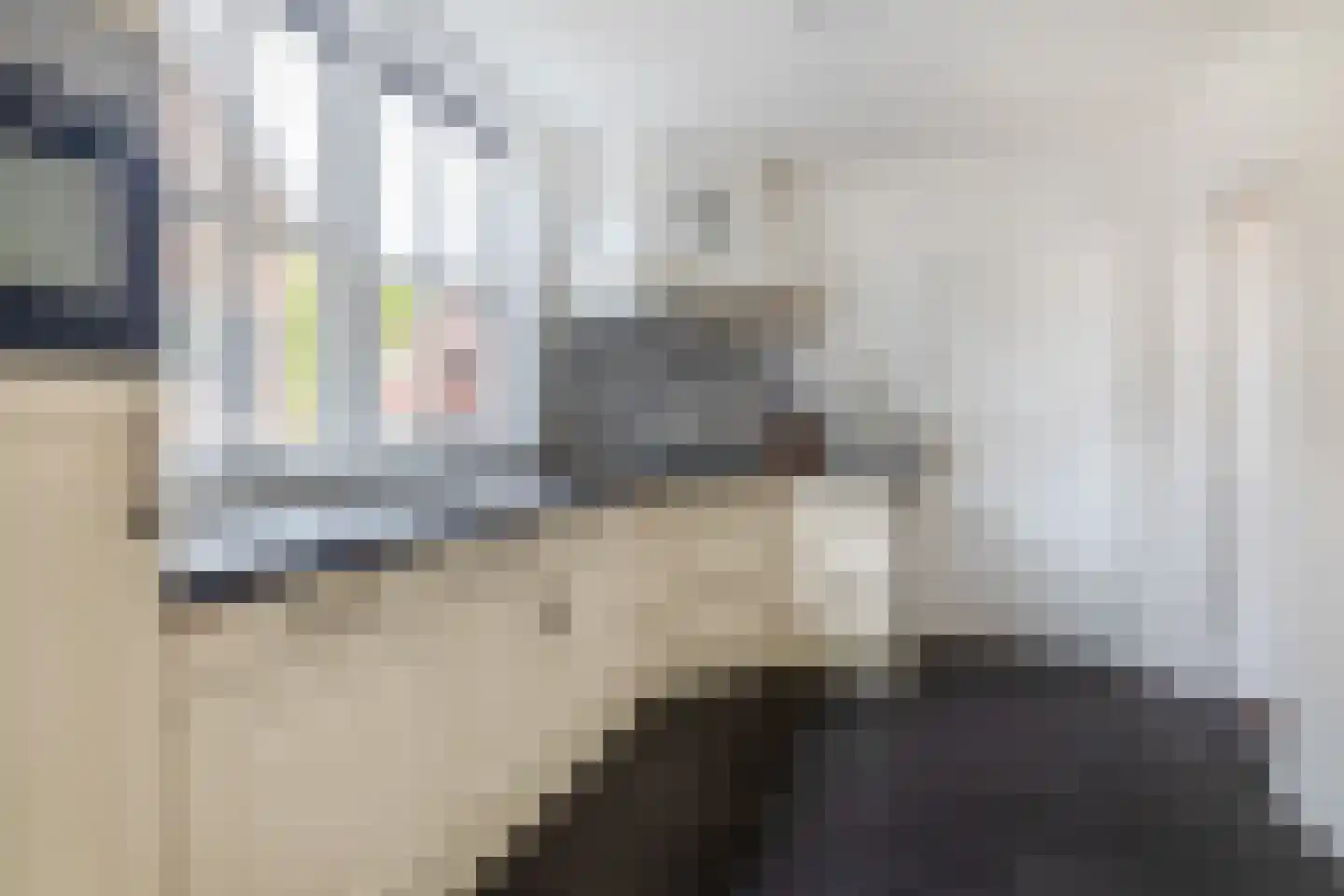 Van Berghenstraat 25 Schijndel thumbnail 8