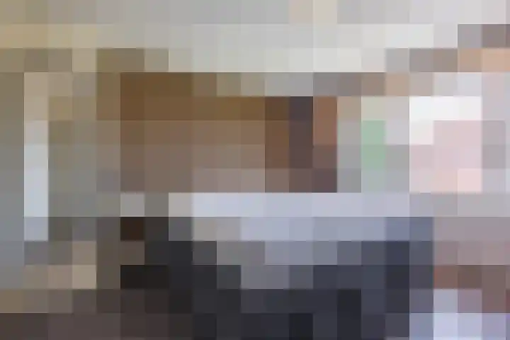 Van Berghenstraat 31 Schijndel thumbnail 5