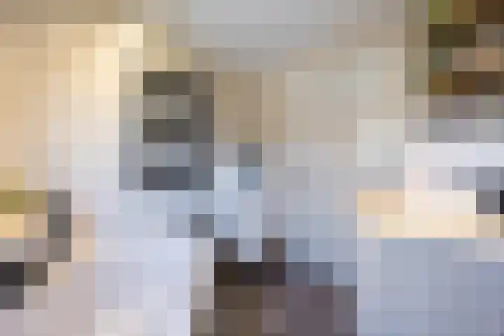 Van Berghenstraat 31 Schijndel thumbnail 7