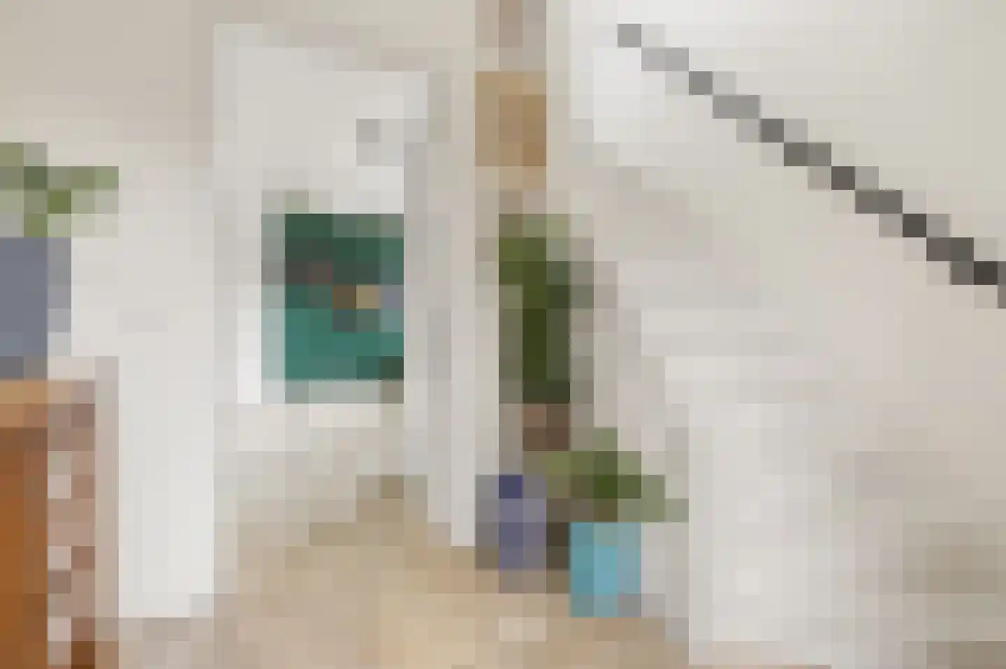 Van Berghenstraat 5 Schijndel thumbnail 18