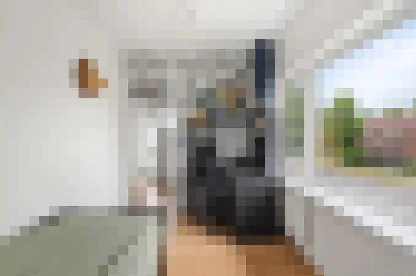 Van Berghenstraat 5 Schijndel thumbnail 25