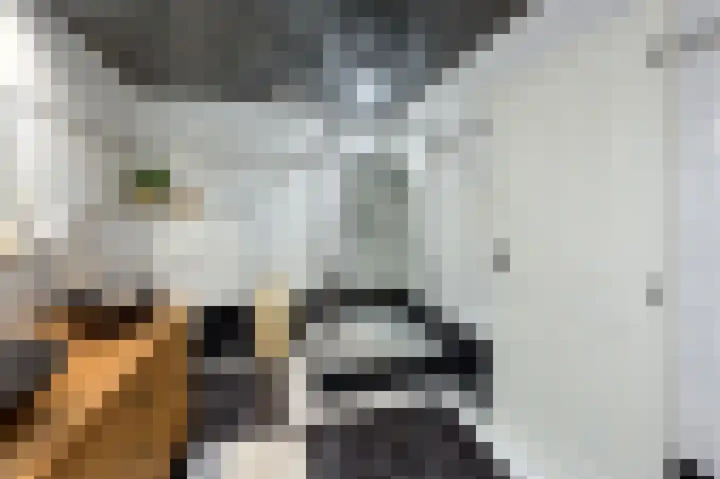Van Berghenstraat 5 Schijndel thumbnail 31