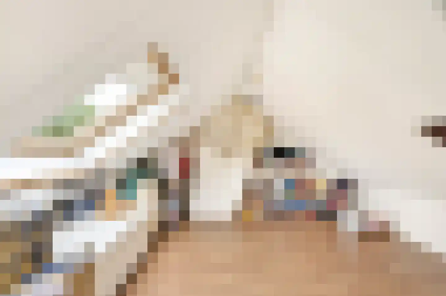 Van Berghenstraat 5 Schijndel thumbnail 34