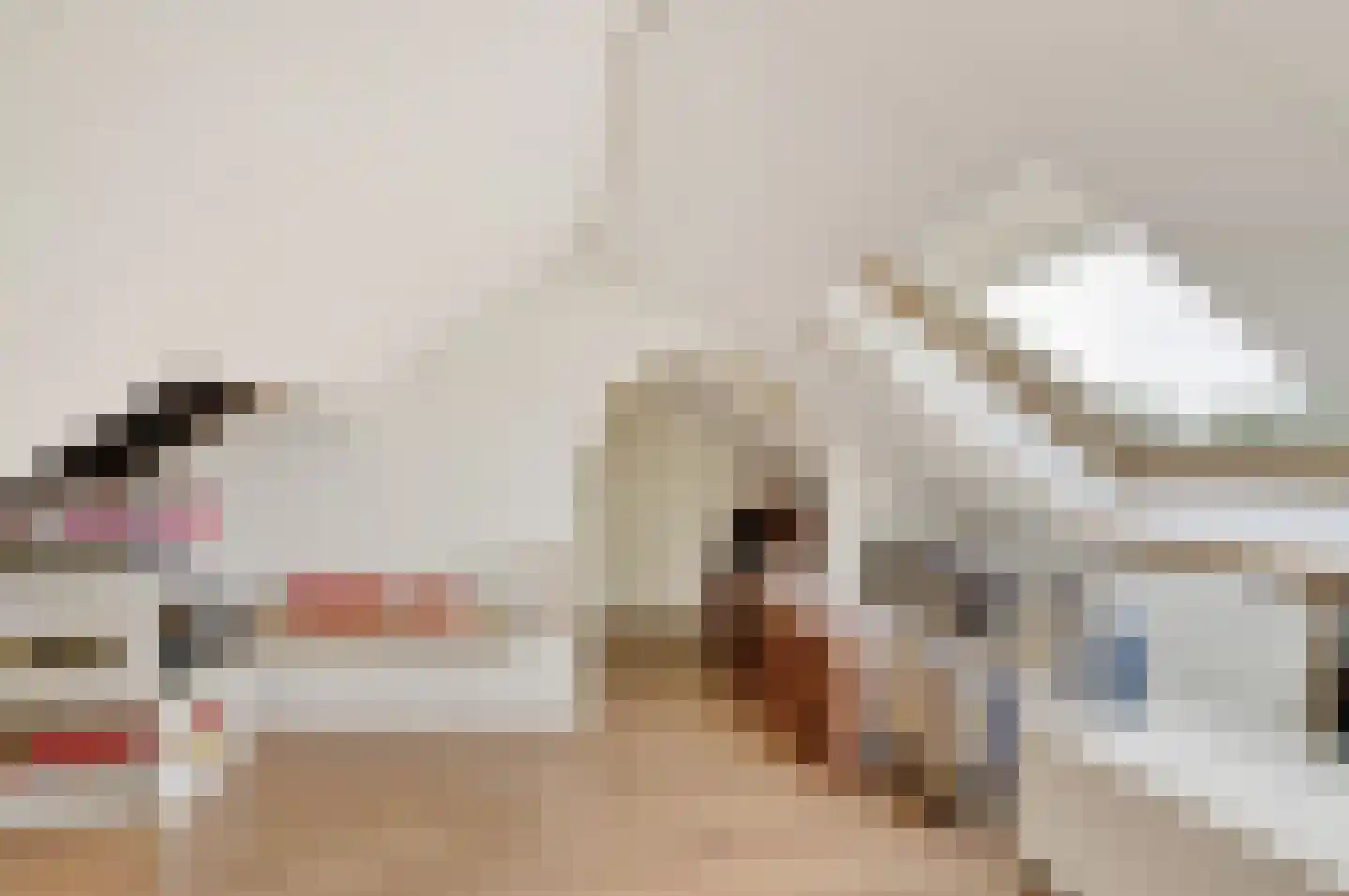 Van Berghenstraat 5 Schijndel thumbnail 35