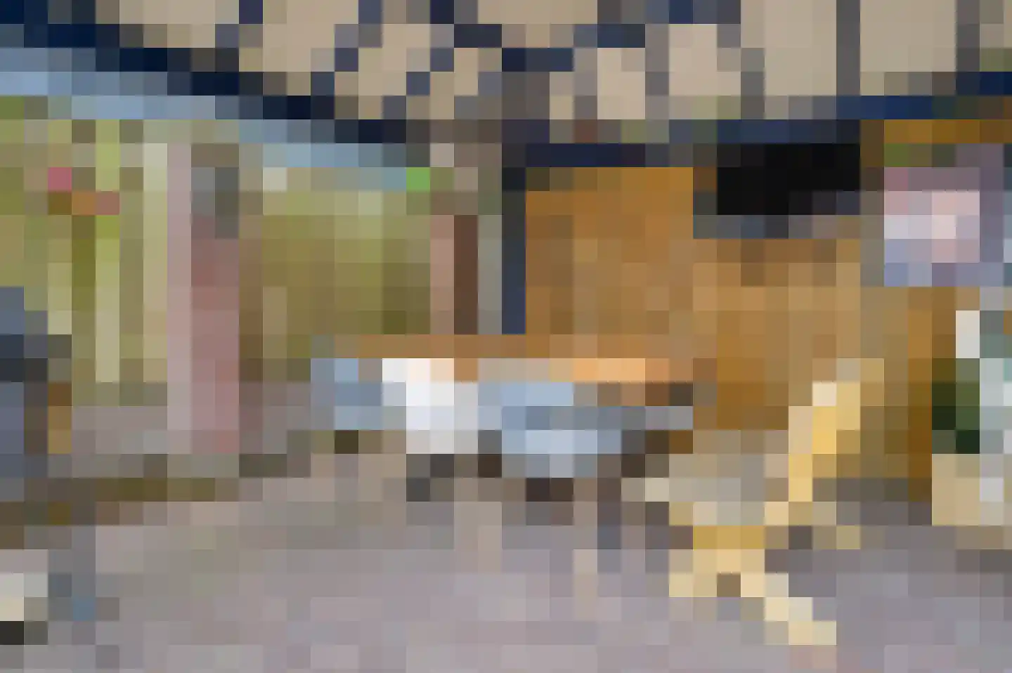Van Berghenstraat 5 Schijndel thumbnail 36