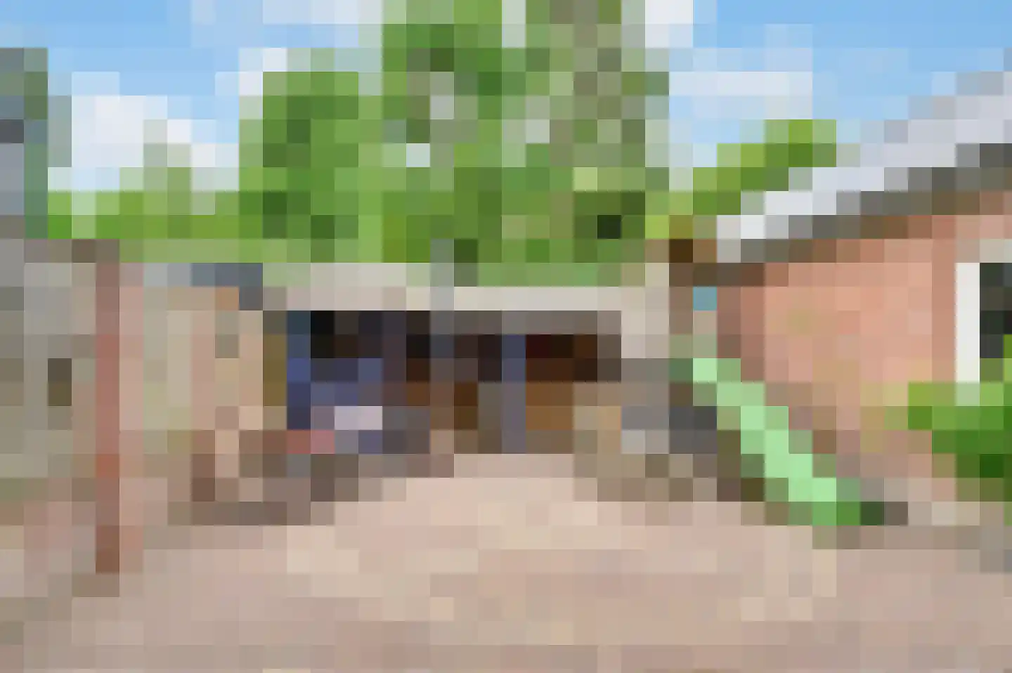 Van Berghenstraat 5 Schijndel thumbnail 4