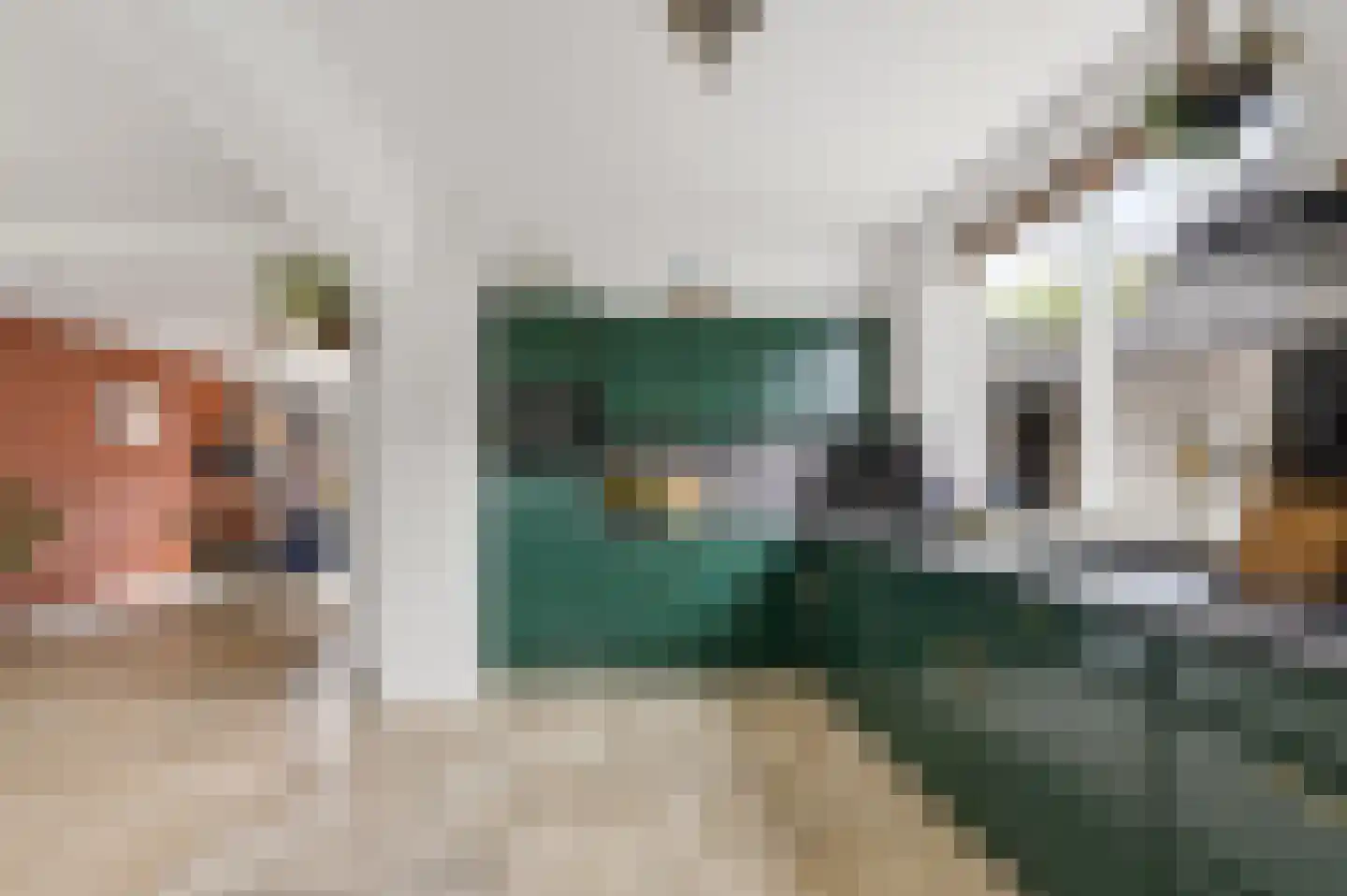 Van Berghenstraat 5 Schijndel thumbnail 5