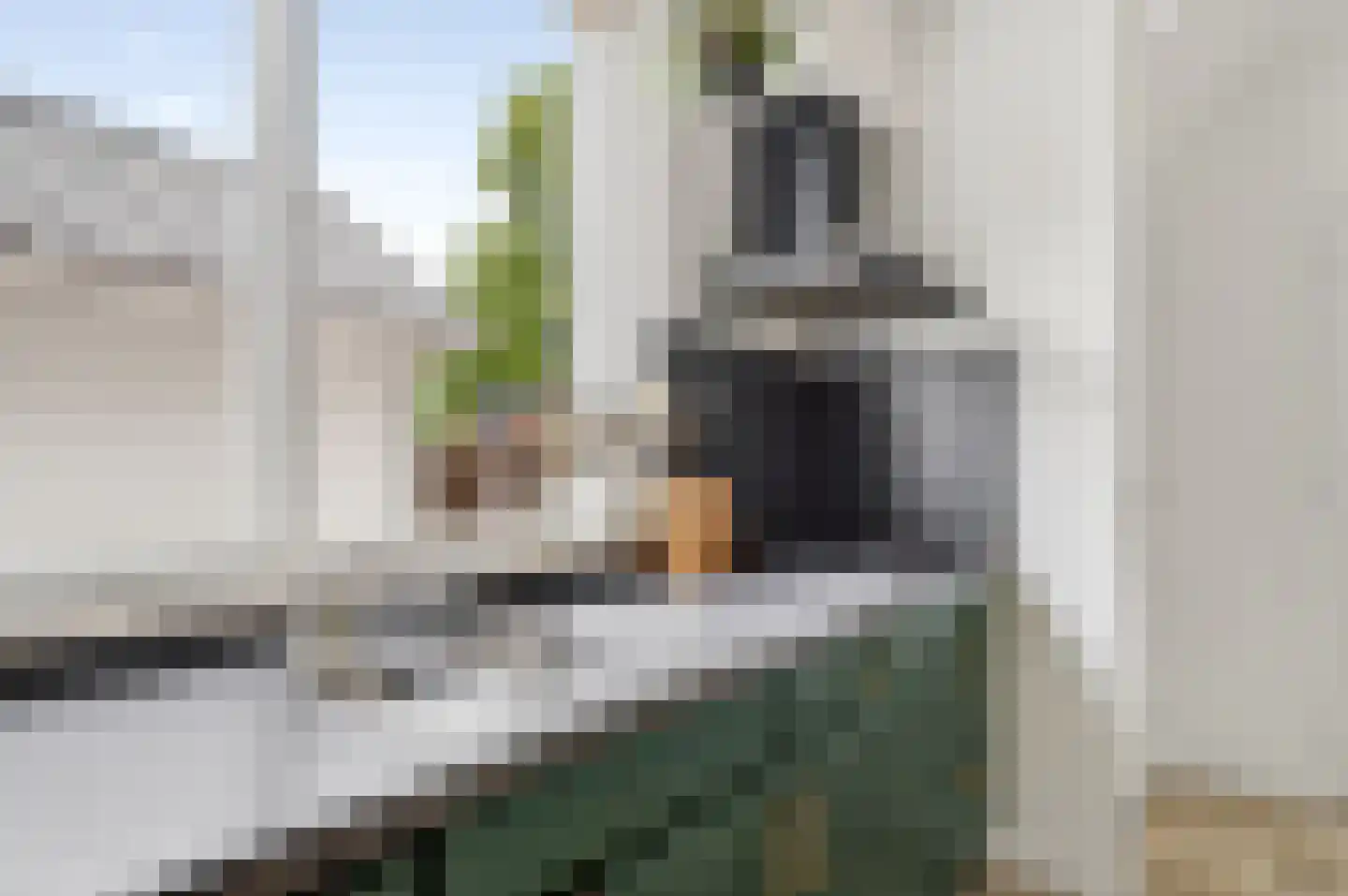 Van Berghenstraat 5 Schijndel thumbnail 6