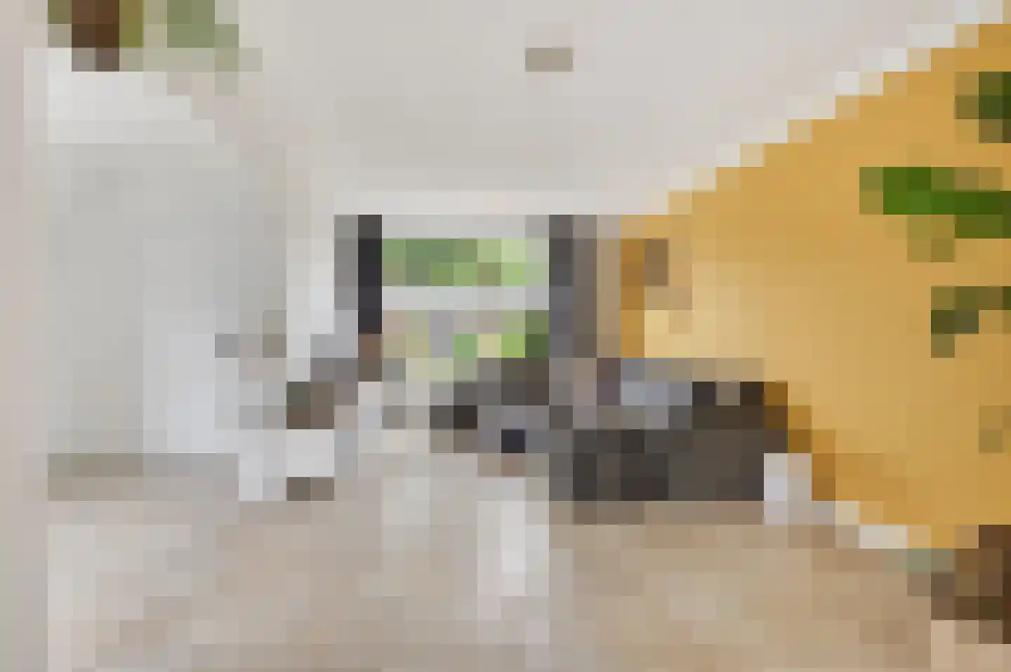 Van Berghenstraat 5 Schijndel thumbnail 8