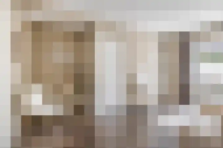 Van Berghenstraat 8 Schijndel thumbnail 4