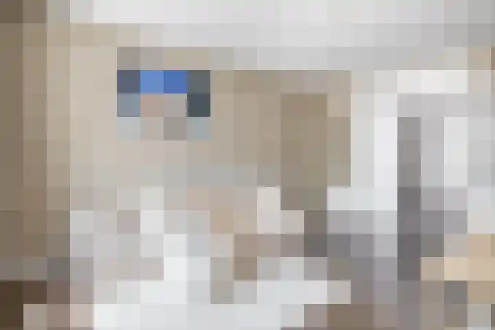 Van Berghenstraat 8 Schijndel thumbnail 5