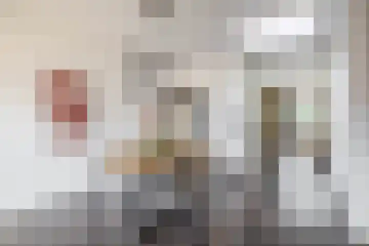 Van Berghenstraat 8 Schijndel thumbnail 7
