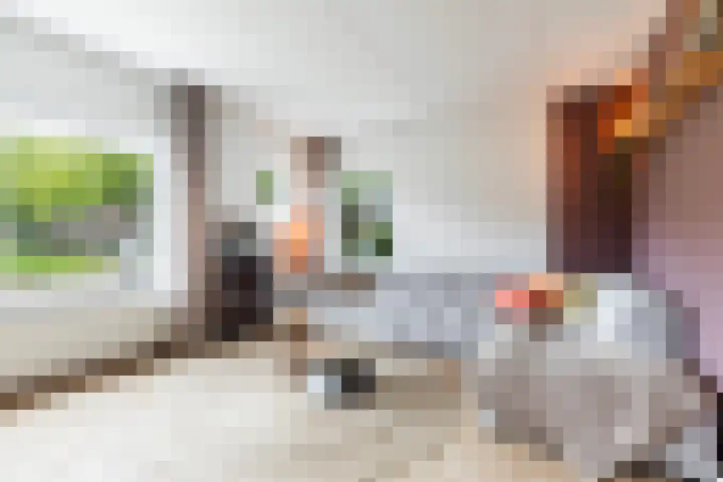 van Berkenstraat 1 Heerenveen thumbnail 11
