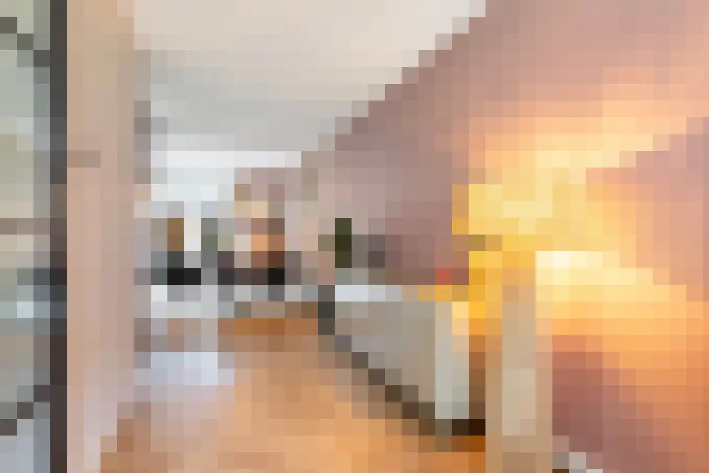 van Berkenstraat 1 Heerenveen thumbnail 14