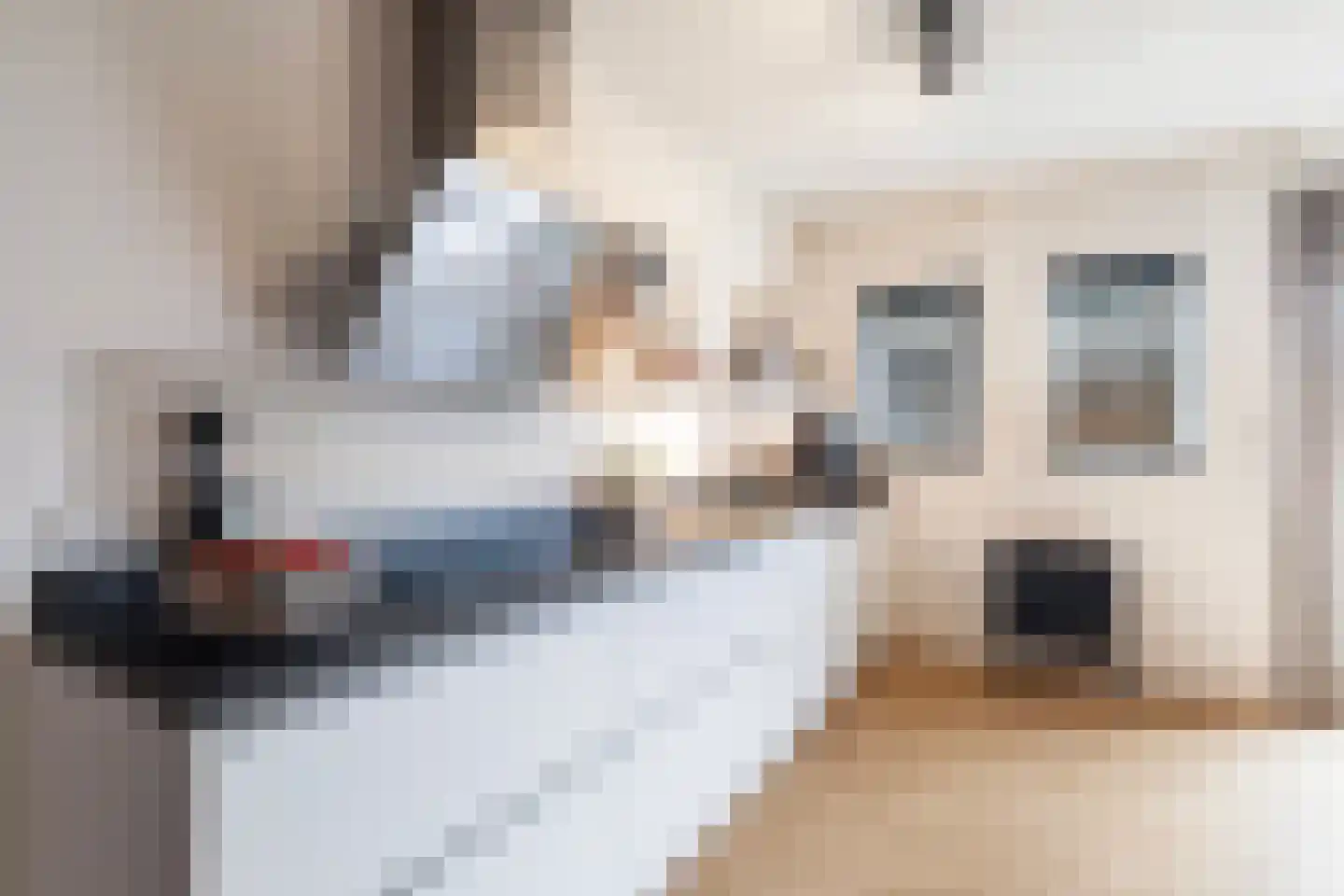 van Berkenstraat 1 Heerenveen thumbnail 19