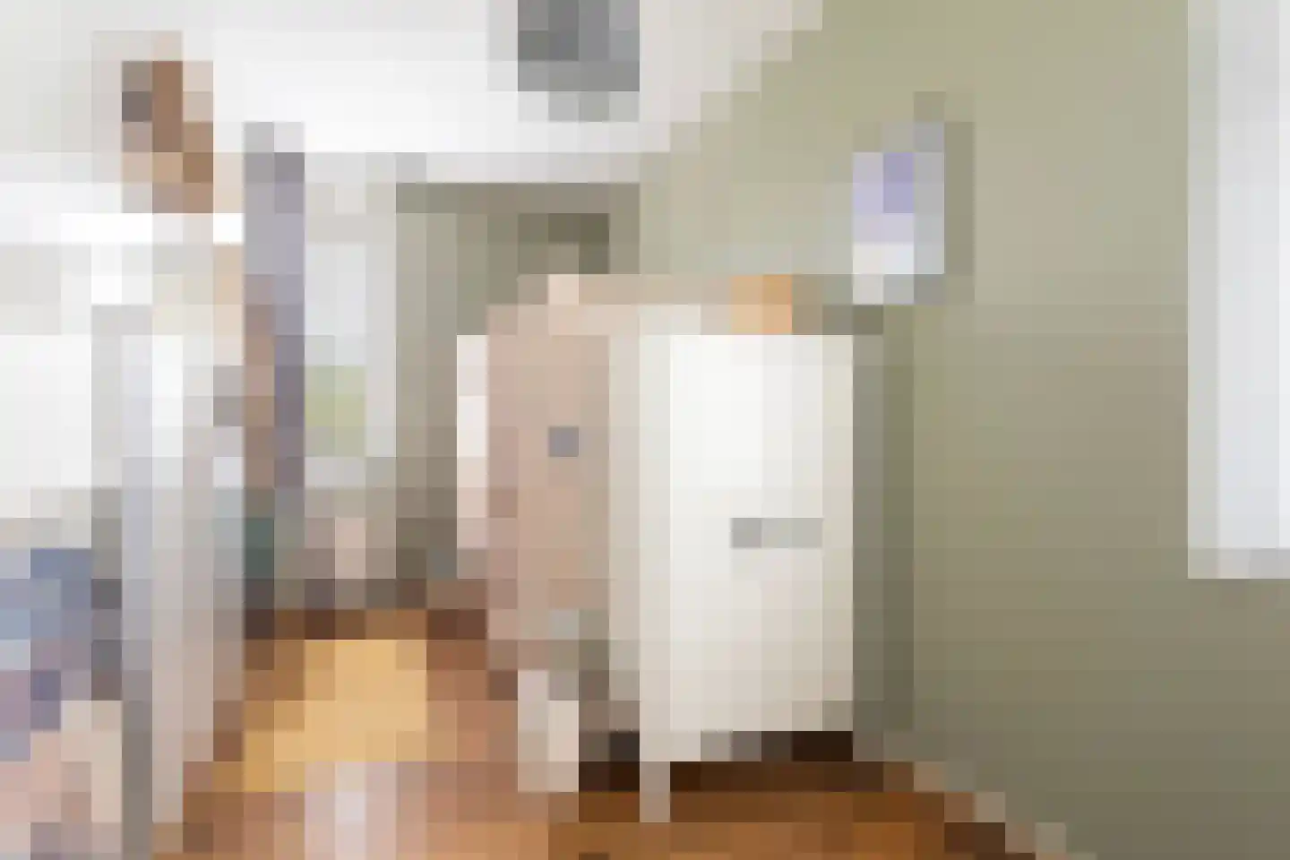 van Berkenstraat 1 Heerenveen thumbnail 30