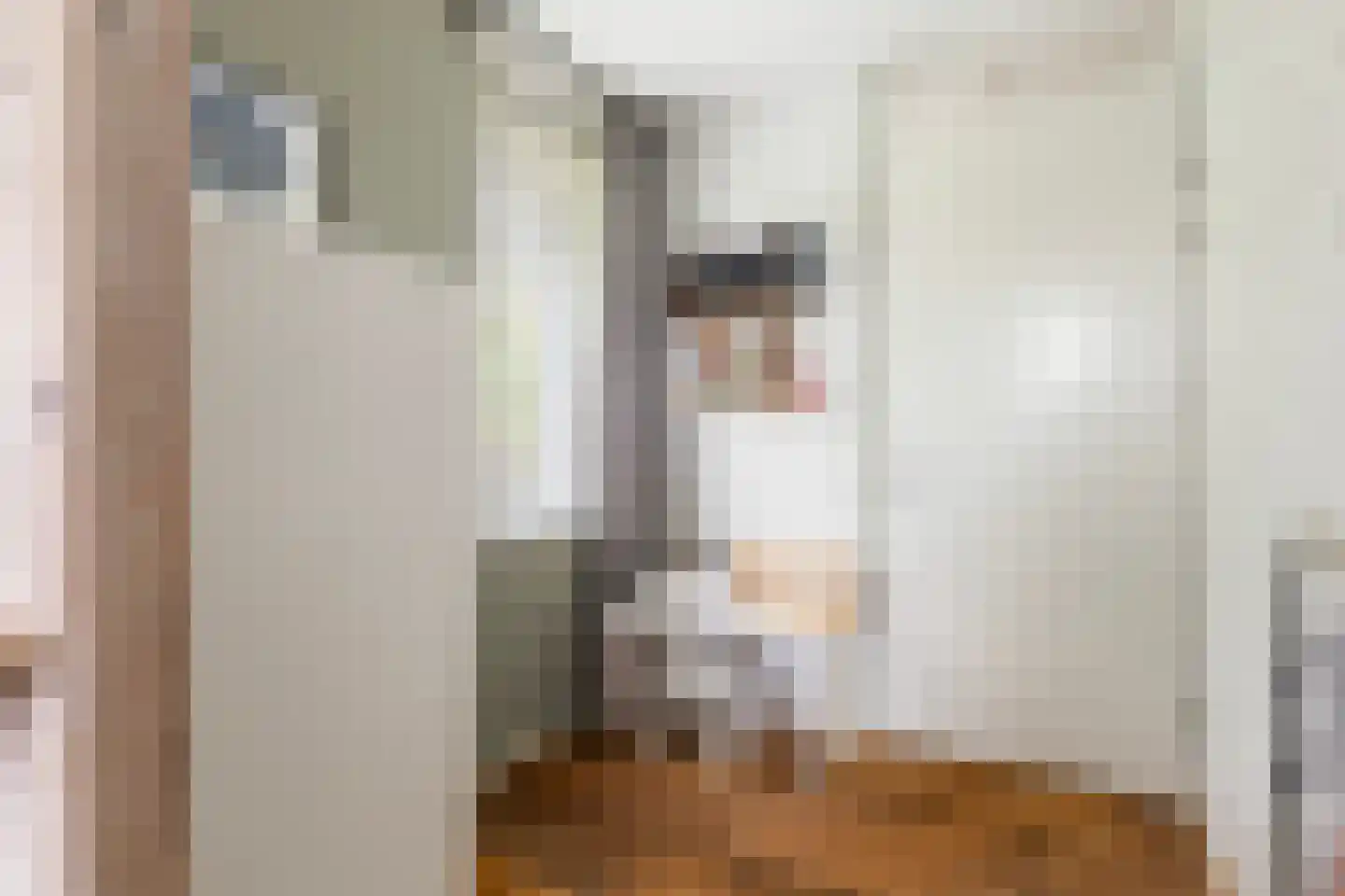 van Berkenstraat 1 Heerenveen thumbnail 31