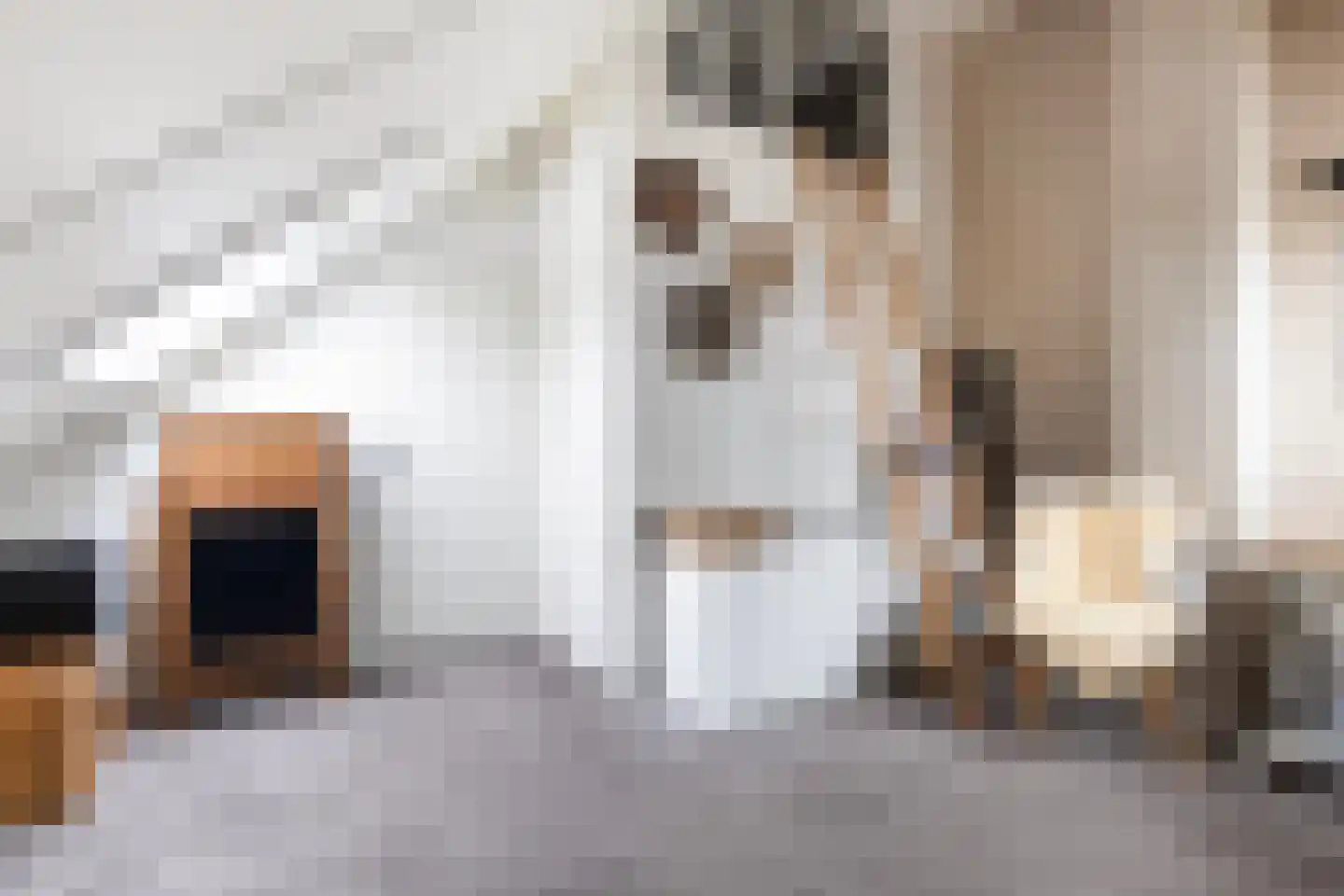 van Berkenstraat 1 Heerenveen thumbnail 35