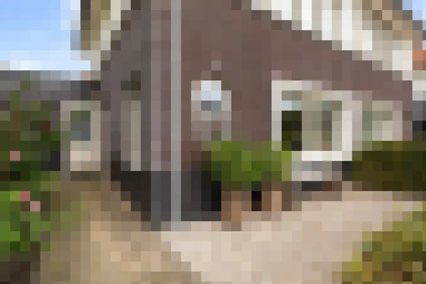 van Berkenstraat 1 Heerenveen thumbnail 37