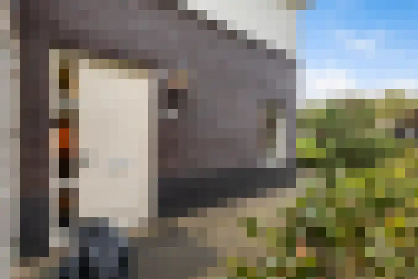 van Berkenstraat 1 Heerenveen thumbnail 38