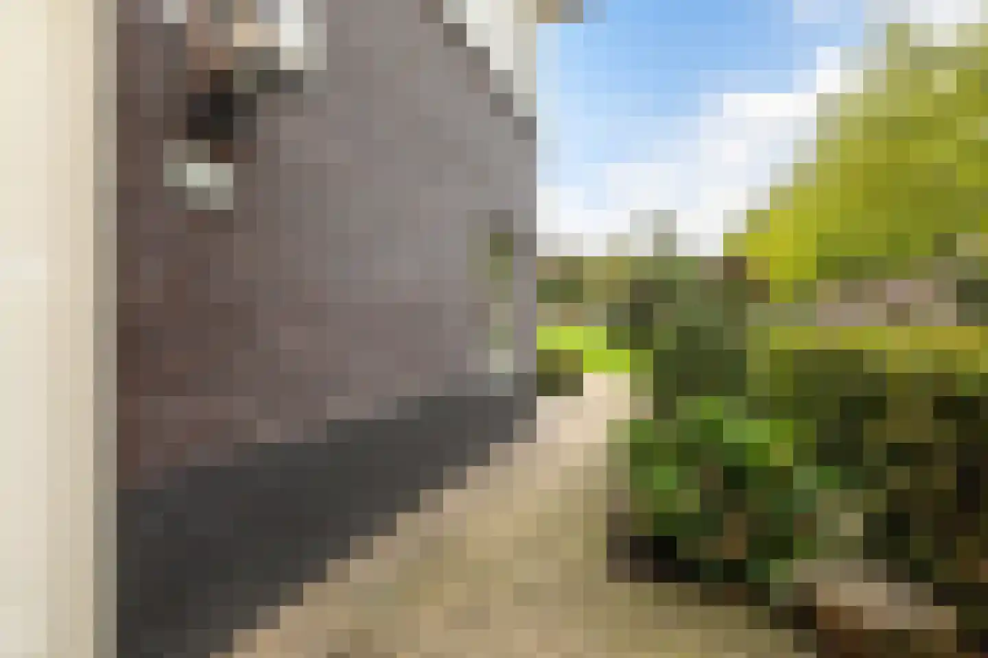 van Berkenstraat 1 Heerenveen thumbnail 39