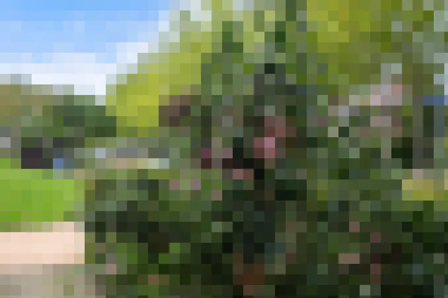 van Berkenstraat 1 Heerenveen thumbnail 47