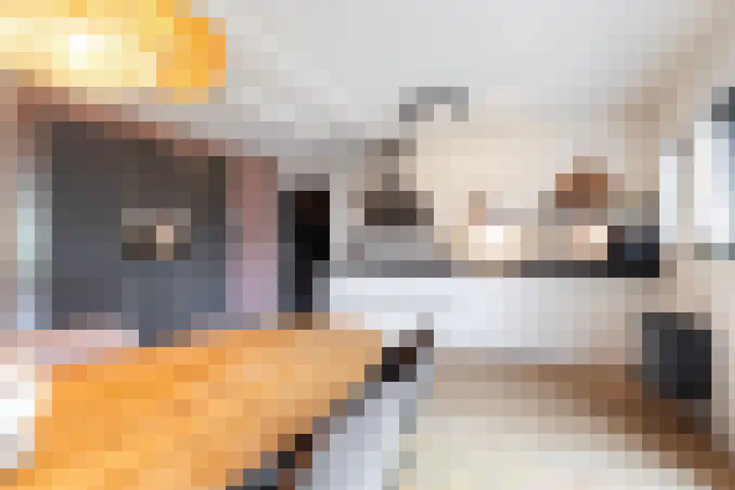 van Berkenstraat 1 Heerenveen thumbnail 5