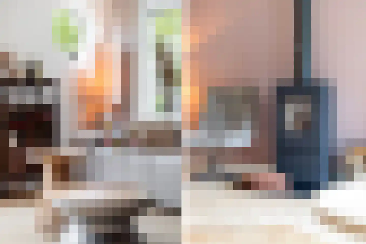 van Berkenstraat 1 Heerenveen thumbnail 7